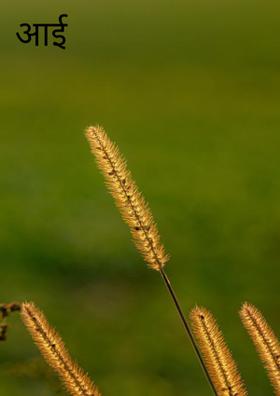 आई  बदलतेय