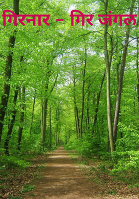 गिरनार - गिर जंगल