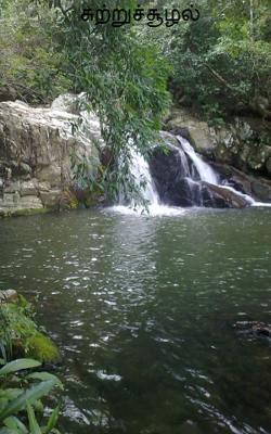 சுற்றுச்சூழல்