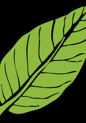 ଅପେକ୍ଷାର ଉତ୍ତେଜନା