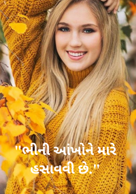 ભીની આંખોને મારે હસાવવી છે