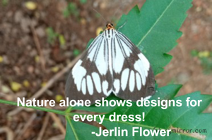 Nature alone shows designs for every dress!
             -Jerlin Flower