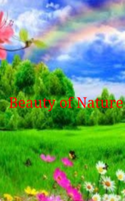 Beauty Of Nature