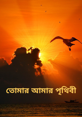 তোমার আমার পৃথিবী