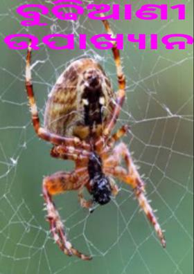 ବୁଢିଆଣୀ ଉପାଖ୍ୟାନ