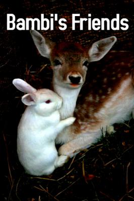 Bambi's Friends