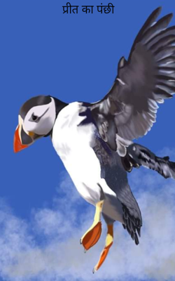 प्रीत का पंछी