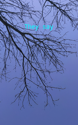 They Say