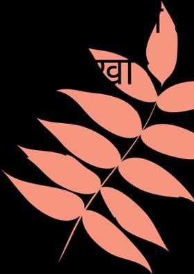 रोते रोते हँसना सीखो