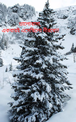 ভালোবাসা, একবারই এসেছিলো নীরবে