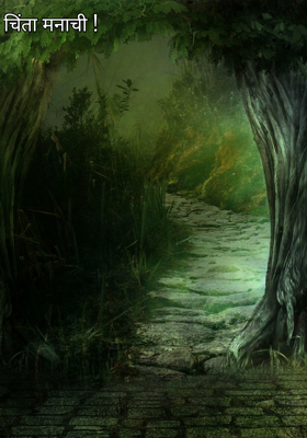 चिंता मनाची !