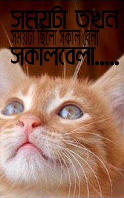 সময়টা ছিলো সকাল বেলা