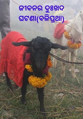 ଜୀବନର ଦୁଃଖଦ ଘଟଣା (ବଳି ପ୍ରଥା)