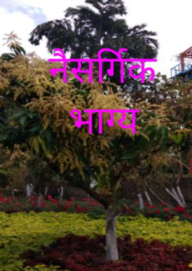 नैसर्गिक भाग्य