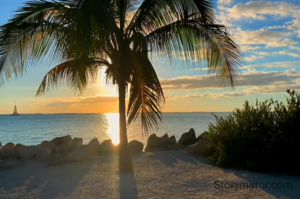 Every person we meet in our journey of life are not meant to stay forever they are just a part of our journey 