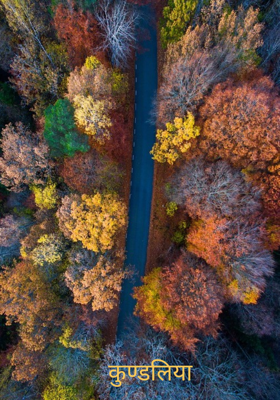 कुण्डलिया