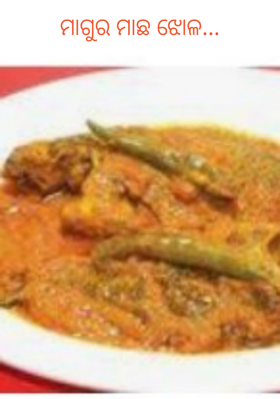ମାଗୁର ମାଛ ଝୋଳ