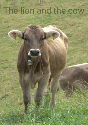 The Lion And The Cow