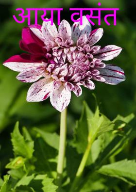 आया वसंत