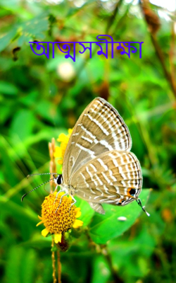 আত্মসমীক্ষা