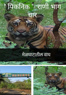 पिकनिक - भाग चार