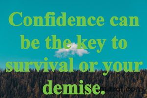Confidence can be the key to survival or your demise.