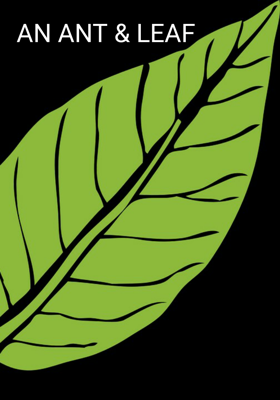 An Ant And Leaf