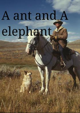 An And And An Elephant