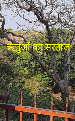 ऋतुओं का सरताज़