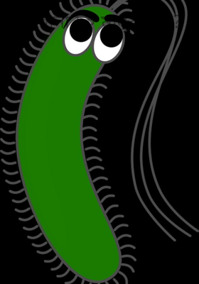 করোনা কি মানুষ হবে?