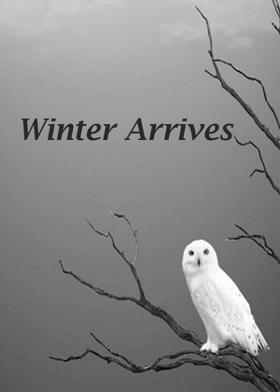 Winter Arrives