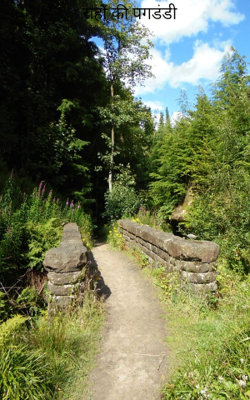 राहों की पगडंडी