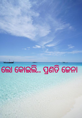 ଲୋ କୋଇଲି