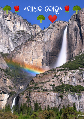 ସାଧବ ବୋହୂ