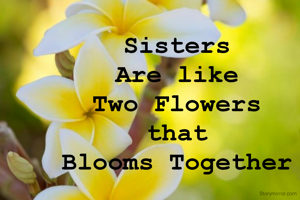 Sisters 
Are like 
Two Flowers 
that 
Blooms Together 