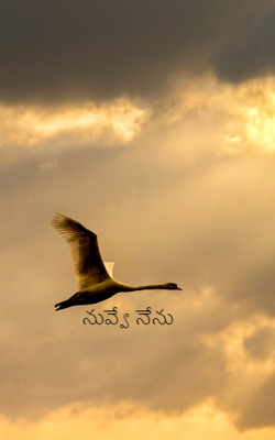 నువ్వే నేను