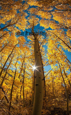 जीना है सबके लिए