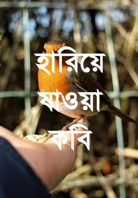 হারিয়ে যাওয়া কবি