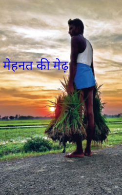 मेहनत की मेढ़