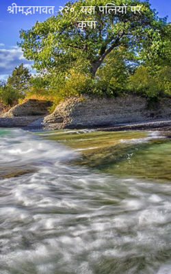 श्रीमद्भागवत-२२०; यज्ञ पत्नियों पर कृपा