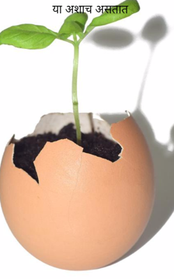 या अशाच असतात