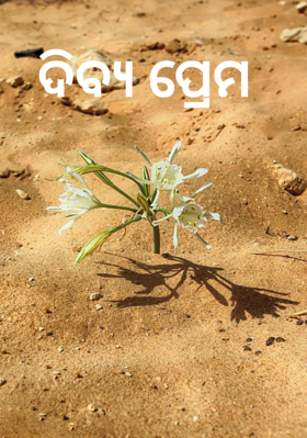 ଦିବ୍ୟ ପ୍ରେମ