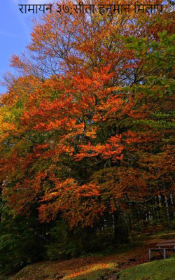 रामायन ३७;सीता हनुमान मिलाप