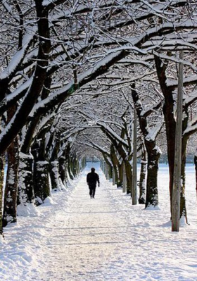 प्रेम आहे