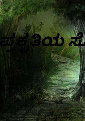 ಪ್ರಕೃತಿಯ ಸೊಬಗು