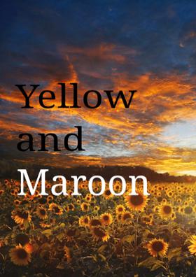 Yellow And Maroon