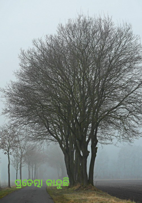 ପ୍ରତେତ୍ମା କାନ୍ଦୁଛି