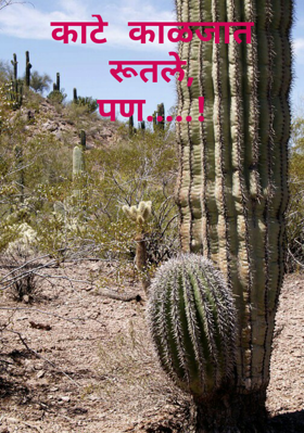 काटे काळजात रूतले,पण.....!