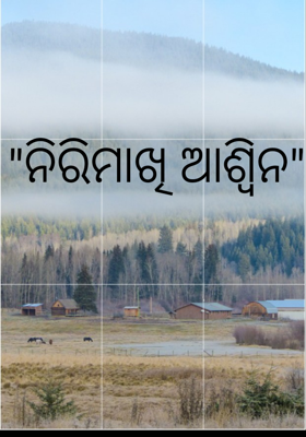 ନିରିମାଖି ଆଶ୍ଵିନ