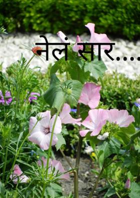 नेलं सारं...